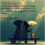 dharmapractice