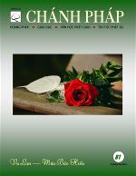 biachanhphap81