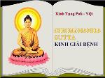 kinh-giai-benh