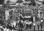 thichtriquang-1967-31