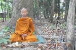 ngoi-thien-rung-gia