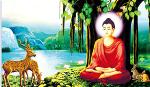 duc-thich-ca-thanh-dao