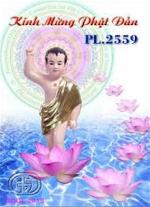 phat-dan-2559