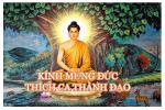 kinh-mung-duc-thich-ca-thanh-dao-2