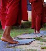 tinh-giac-2-