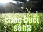 chaobuoisang