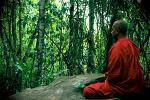 ngoi-thien