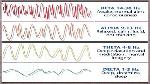 brainwavefrequency