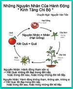 nhan-qua