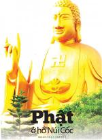 phatohonuicoc-300x408