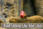 kinh-buong-bo-nam-bat