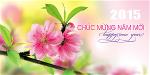 chucmungnammoi-2015