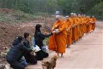 cung-duong