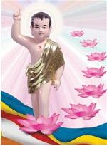 phatdansinh7hoasen