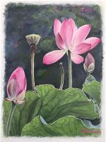 hoa-sen-painting