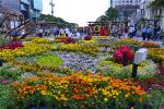 dhoa-nguyen-hue-chieu-28-tet-9-