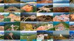 mot-so-dia-diem-xay-dung-chua-trong-20-nam-qua-minh-hoa-luat-khoa