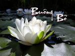 buong-bo