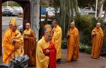 thich-tinh-dao