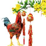 xuan-con-ga