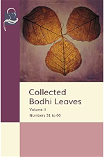 bodhi-leaves-on-41