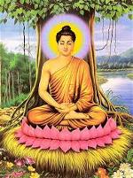duc-phat-toa-thien-duoi-cay-bo-de