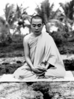 to-su-minh-dang-quang-toa-thien