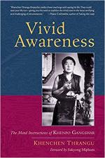 vivid-awareness