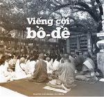 vieng-coi-bode