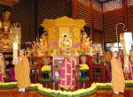 cung-sao-giai-han