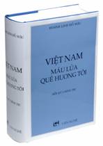 viet-nam-mau-lua-que-huong-toi