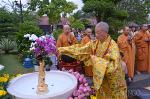 thich-tri-quang