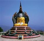 nam-ty-ke-chuyen-ran-content
