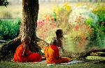 nguoi-tu-suot-doi-giu-gioi-phong-ho-cac-can