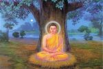 duc-phat-thanh-dao