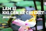 lam-gi-khi-can-ke-cai-chet