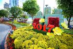 duong-hoa-nguyen-hue-2017-04