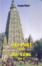 daophattrongdoisong-cover-content