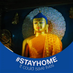 stay-home