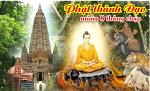 duc-thich-ca-thanh-dao