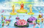 tay-phuong-cuc-lac