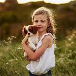 love-pet