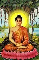 buddha