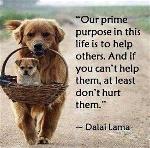 dalai-lama-0128756