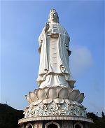 tuong-quan-the-am-bo-tat-tai-son-tra-da-nang
