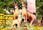duong-hoa-tet-2015-01