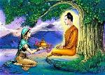 cung-duong
