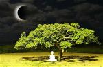 bodhi-tree