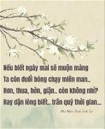 img-3460