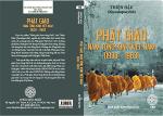phat-giao-nam-tong-kinh-viet-nam